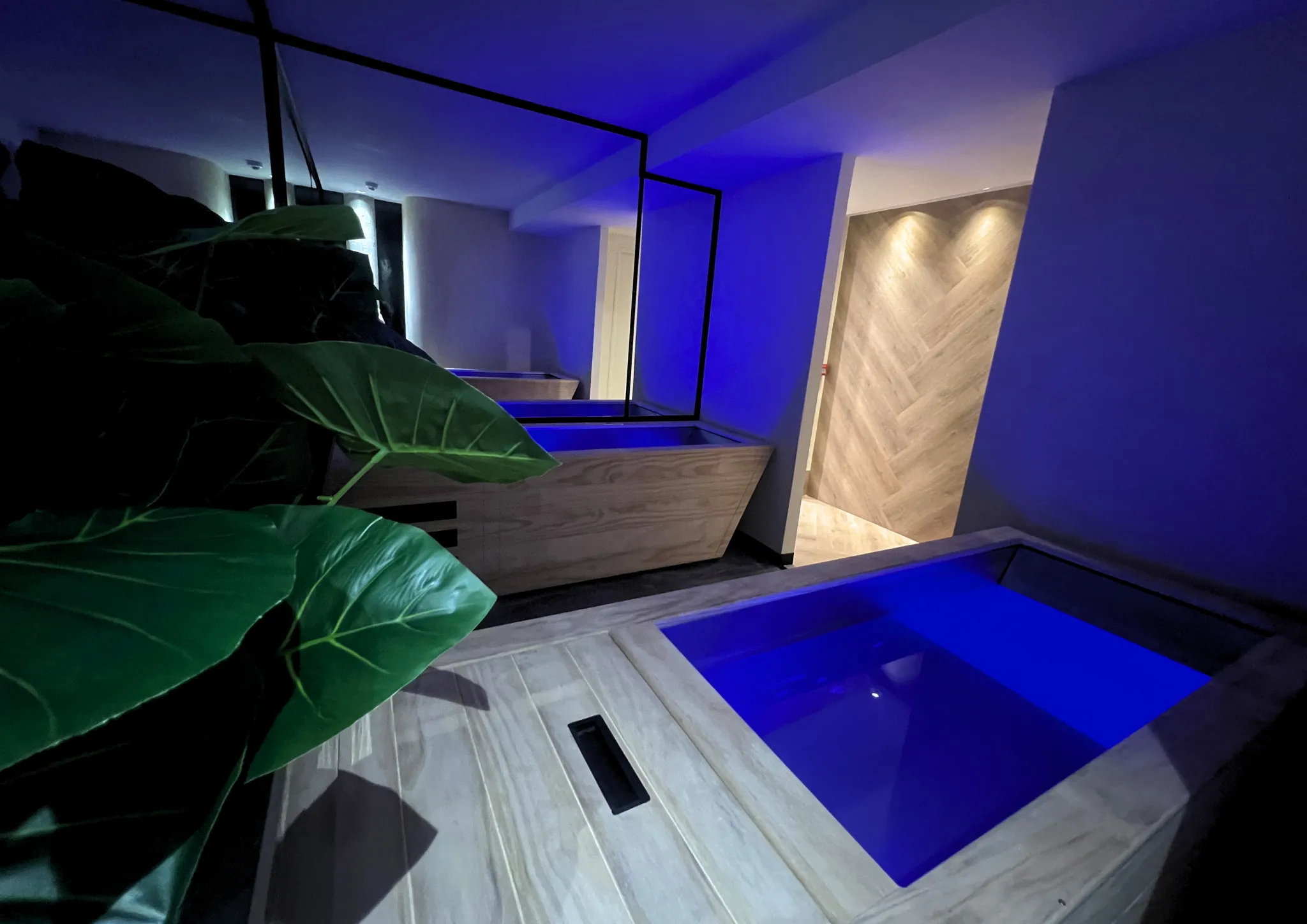 WellNest gym equipment and training environment