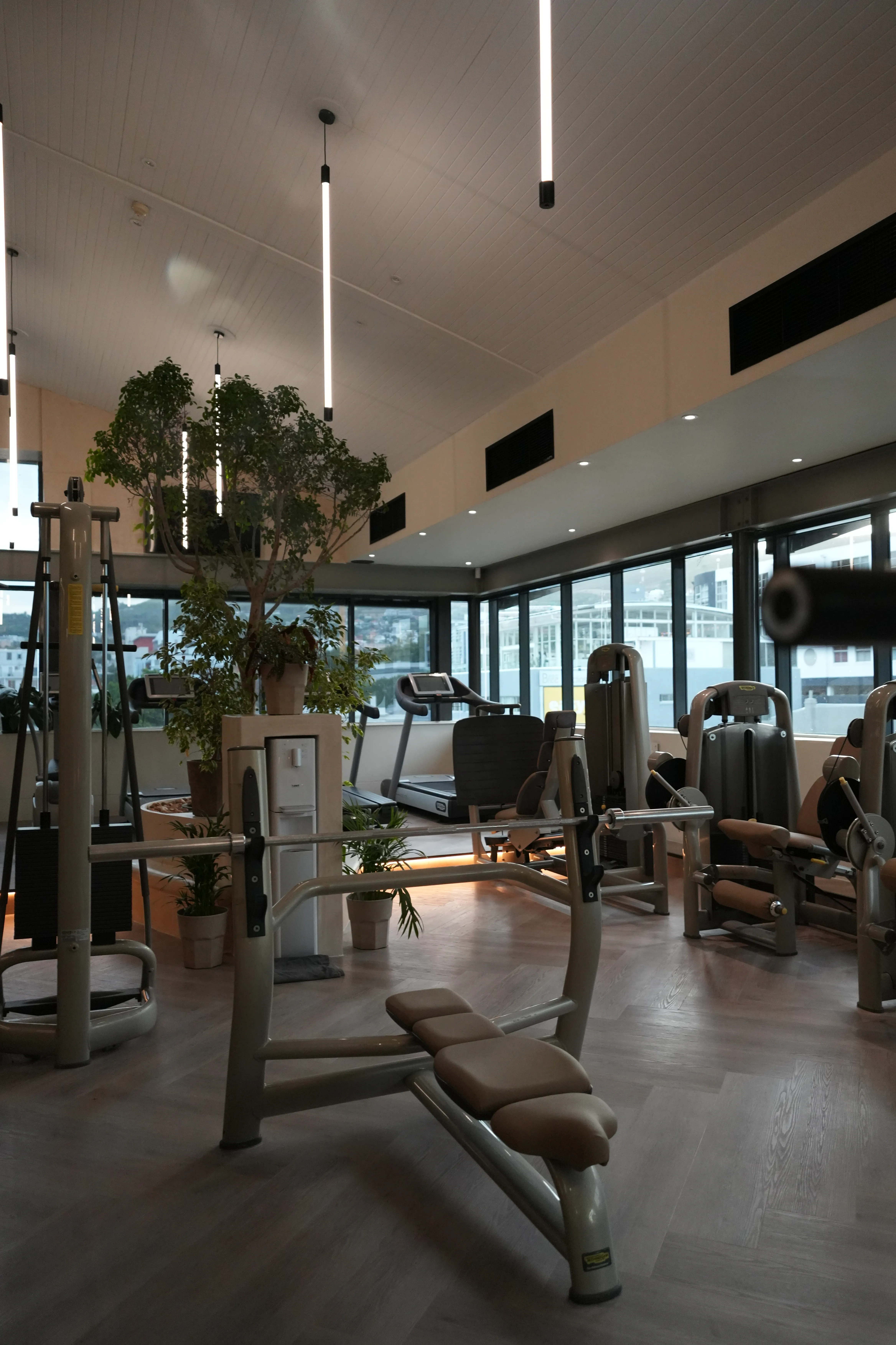 WellNest performance gym training floor and equipment