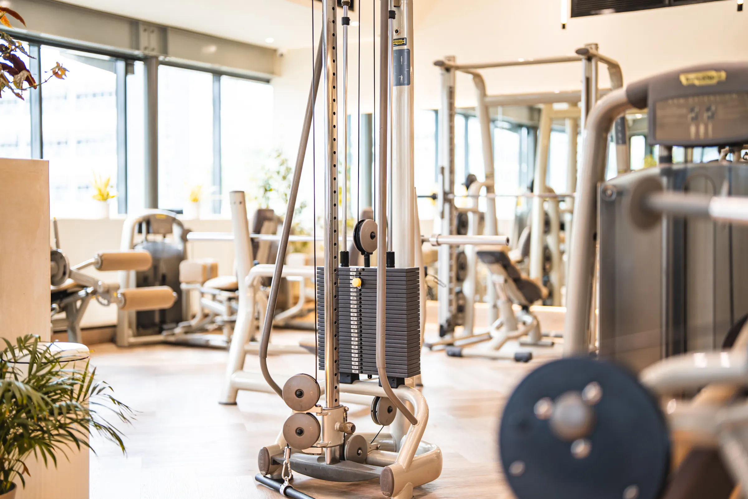 Gym at WellNest Gold, Cape Town
