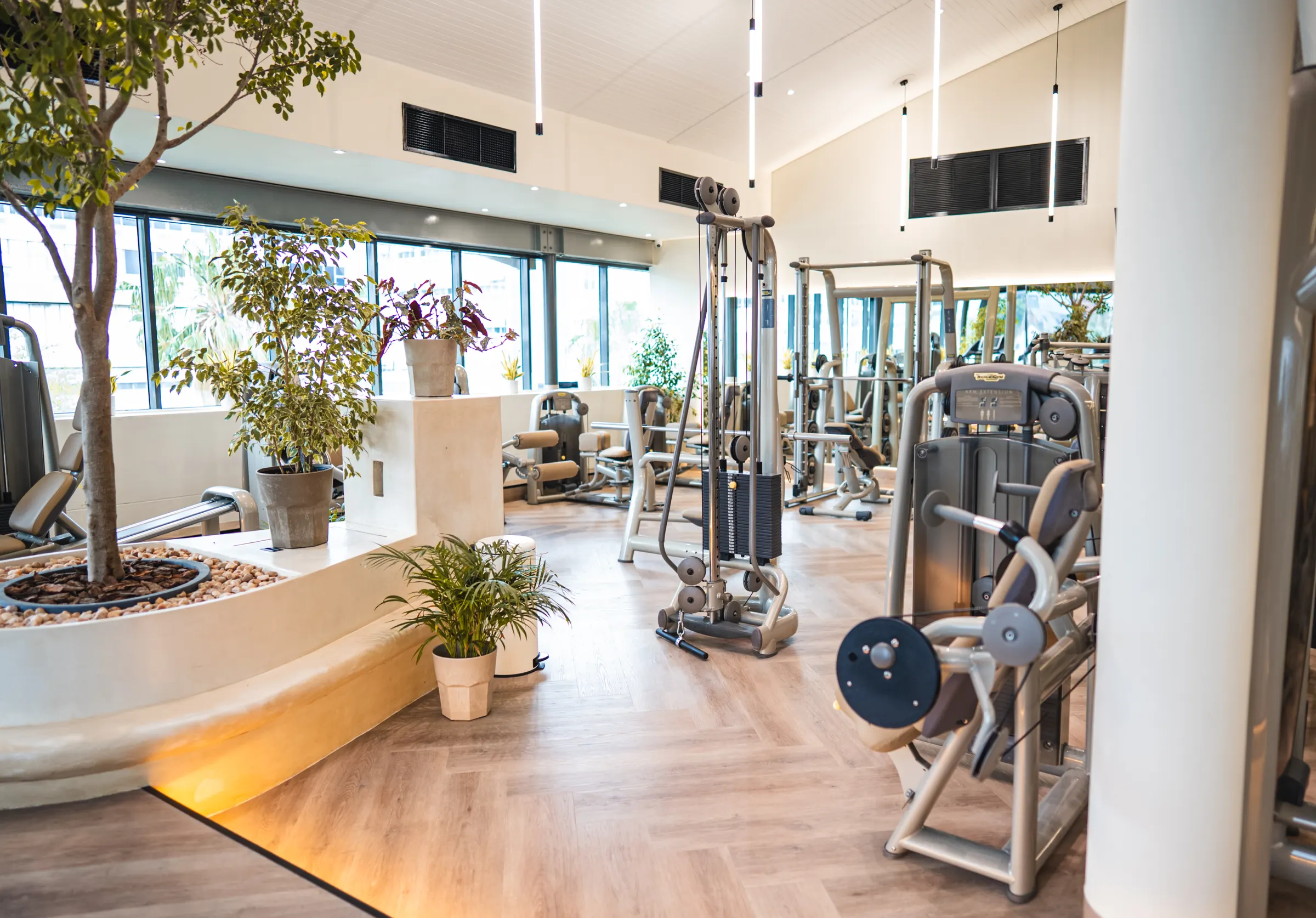 The WellNest gym floor in Cape Town: strength machines, plants and floor-to-ceiling windows