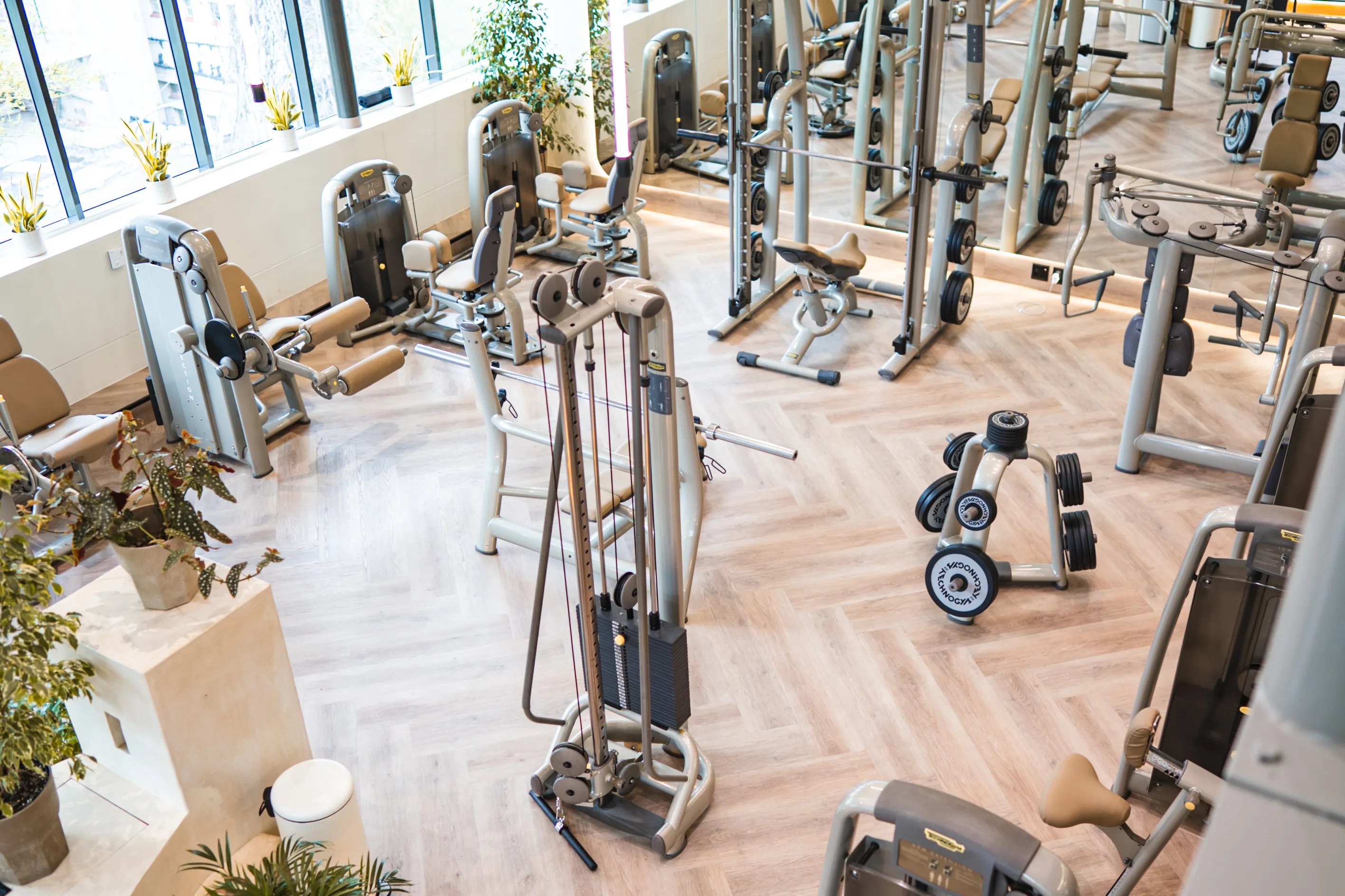 The WellNest gym in Cape Town from above: strength machines, plants and floor-to-ceiling windows